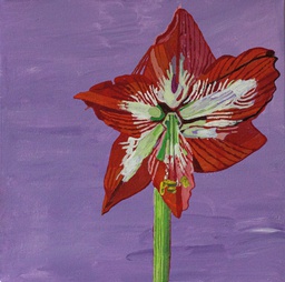 Wenskaart met titel 'Amaryllis'